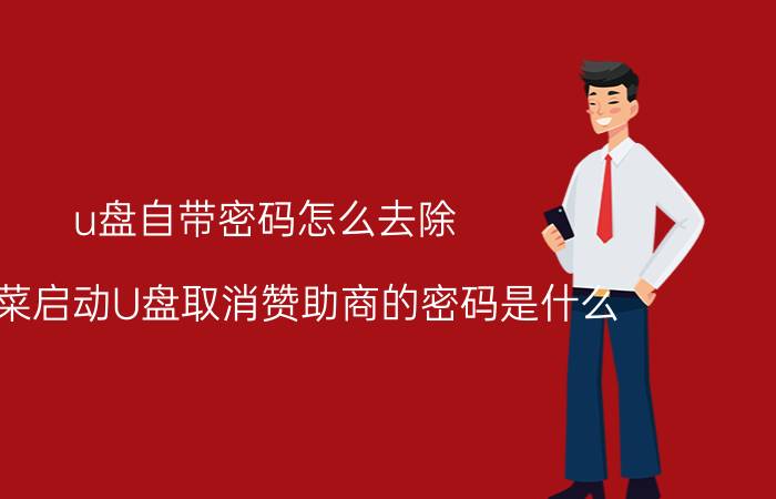 u盘自带密码怎么去除 大白菜启动U盘取消赞助商的密码是什么？